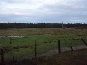 CTF Celle 041